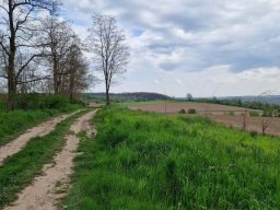 b_1024_768_0_00_images_2022_2023_SKKT_PTTK_rajd_maj_345477088_1325754768338998_4289405724518231455_n